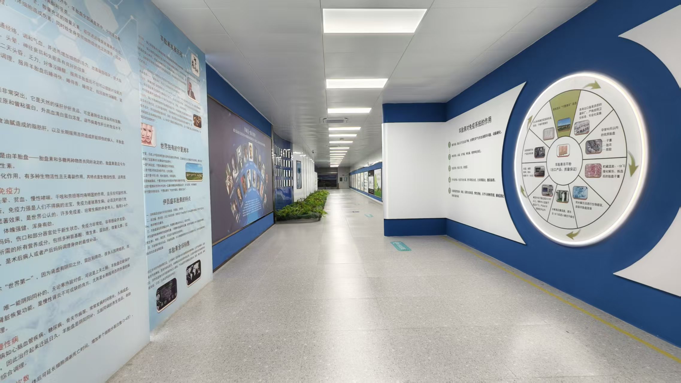 銀川伊百盛生物工程有限公司 銀川伊百盛生物工程有限公司