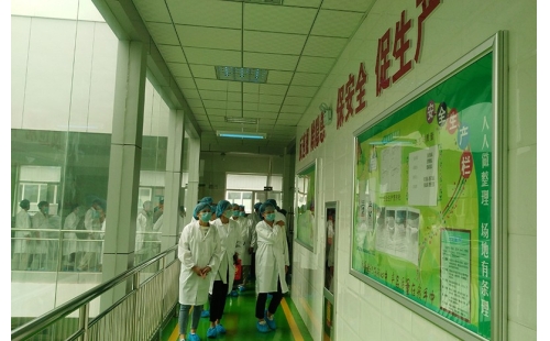 值公司成立十周年慶典，公司贊助萬(wàn)名老人免費(fèi)游寧夏系列活動(dòng)