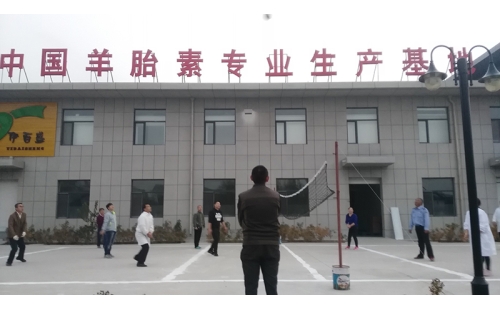 排球傳溫情，員工齊聚心